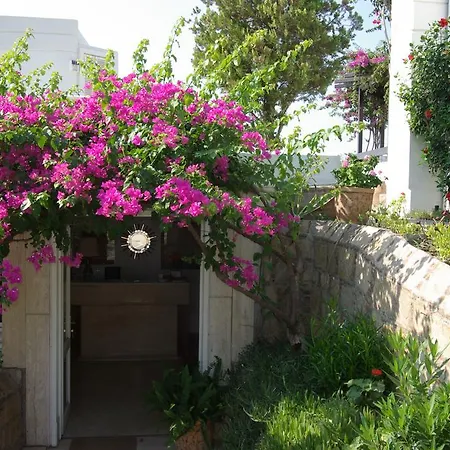 Antique Theatre Bodrum