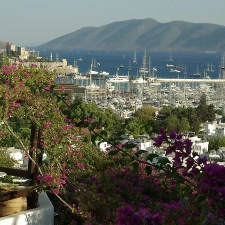 Antique Theatre 3* Bodrum