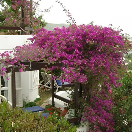 Hotel Antique Theatre Bodrum